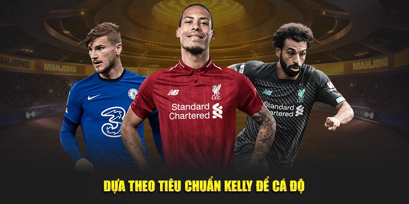 Dựa theo tiêu chuẩn Kelly để cá độ
