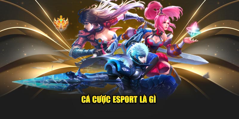 Cá cược esport là gì
