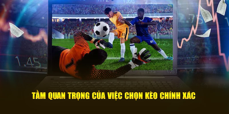 Tầm quan trọng và vai trò của việc chọn kèo chính xác
