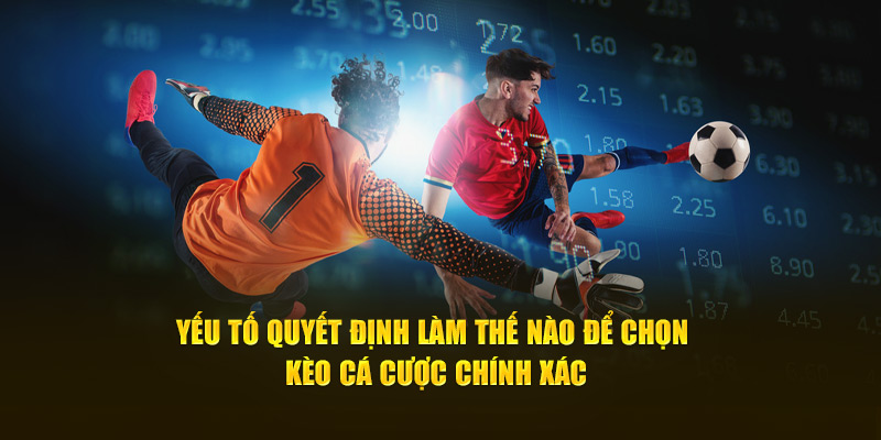 Yếu tố quyết định làm thế nào để chọn kèo cá cược chính xác?
